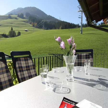 Spacious Chalet In Kirchberg With Mountain View * Kirchberg in Tirol